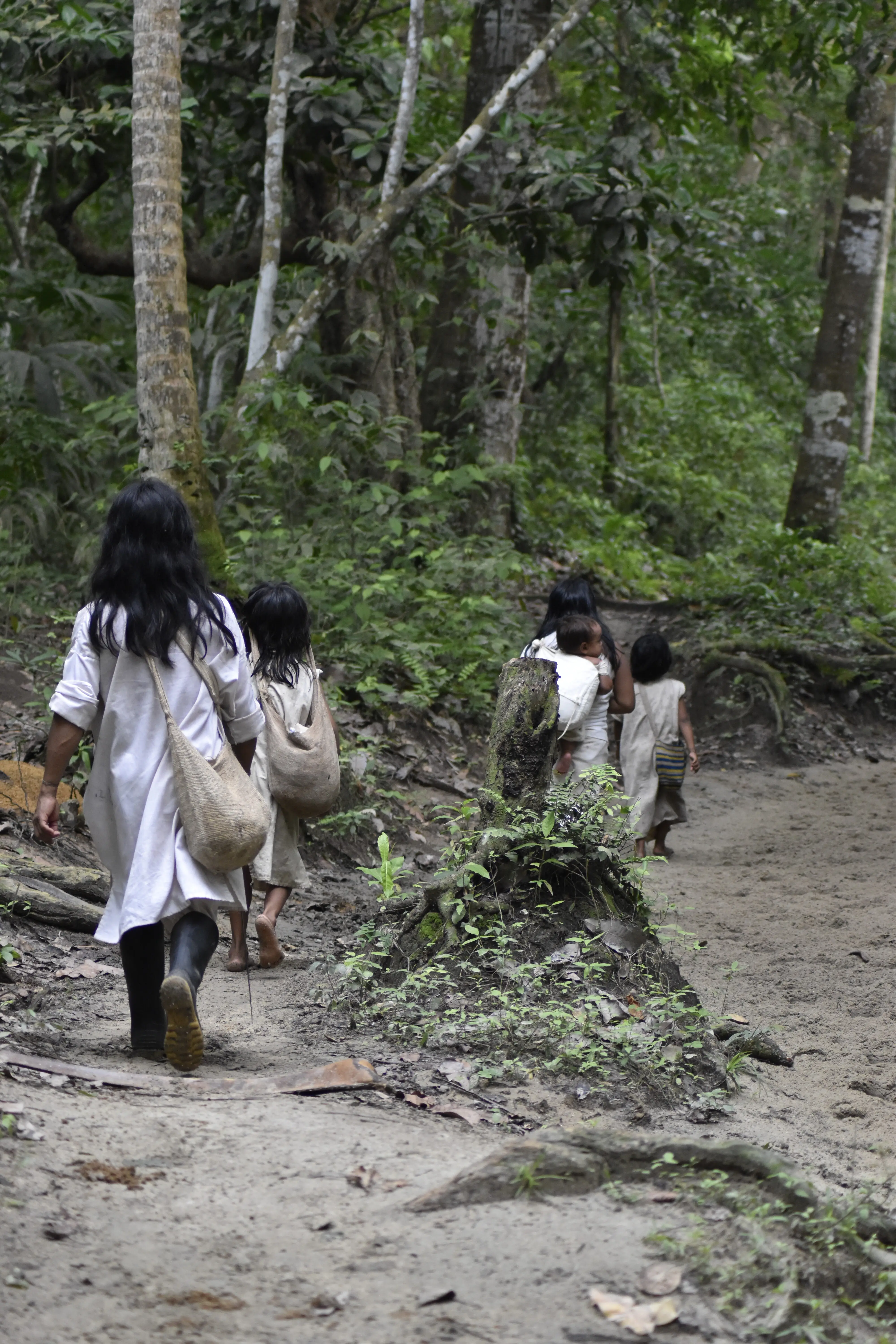 Eine Gruppe langhaariger indigener Menschen geht durch den Dschungel.