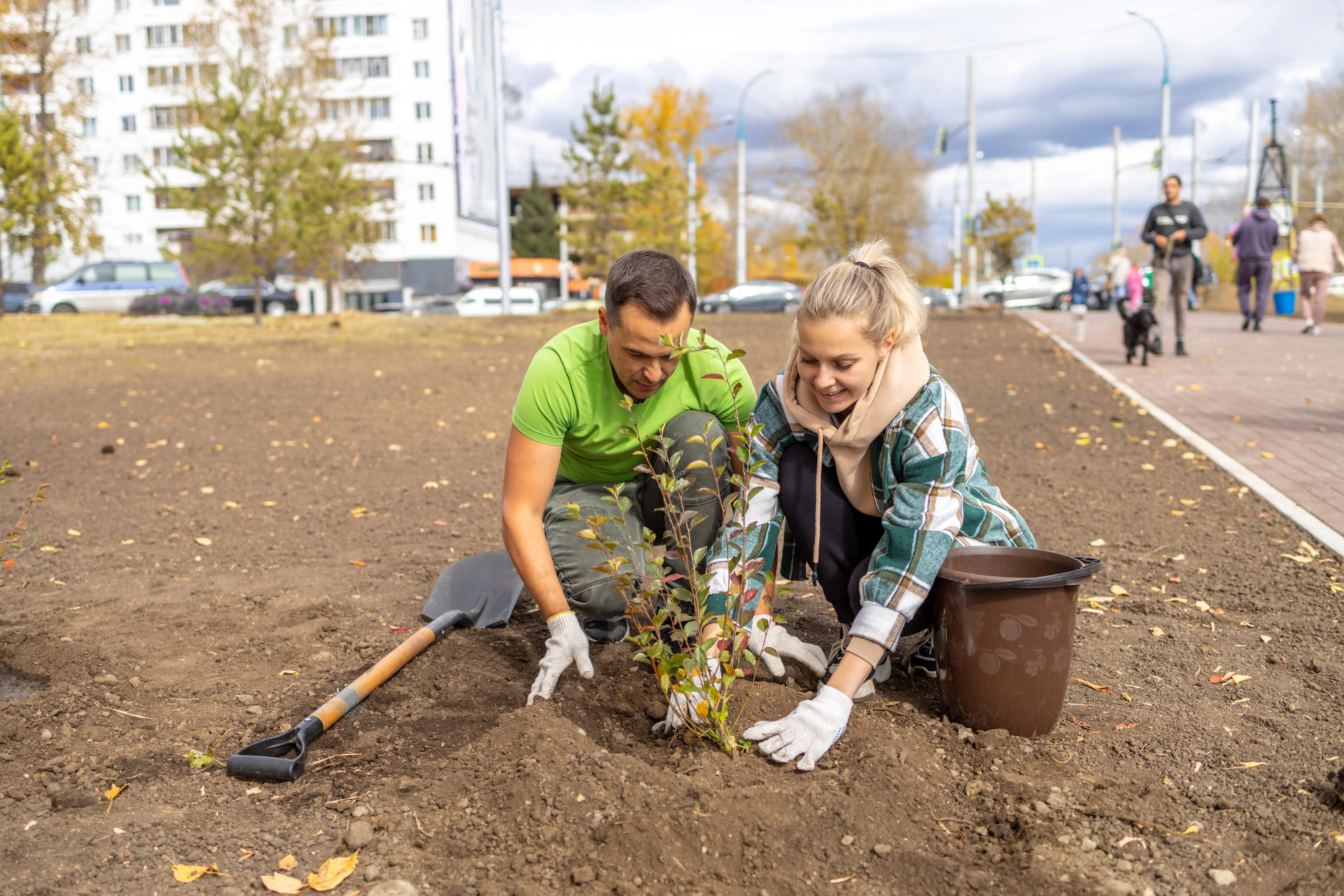 Ein Mann und eine Frau pflanzen als freiwillige Helfer in der Stadt Bäume, um Umwelt und Ökologie zu schützen.